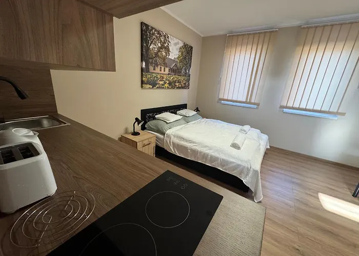 Διαμέρισμα Nyeki Feszek Apartmanhaz